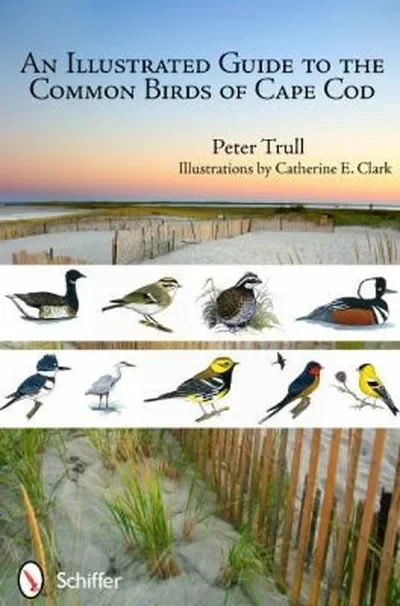 An Illustrated Guide to the Common Birds of Cape Cod — dewey-pub:Schiffer