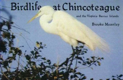 Birdlife at Chincoteague and the Virginia Barrier Islands — dewey-pub:Schiffer