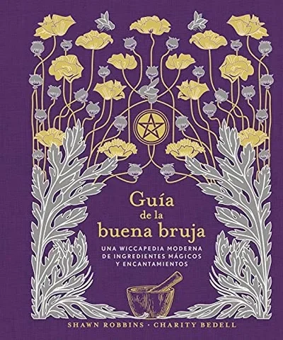 Guia de la Buena Bruja Robbins, Shawn — dewey-133