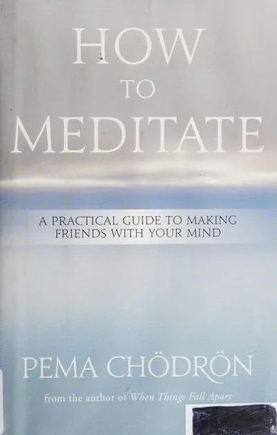 How to Meditate: A Practical Guide to Making Friends with Your Mind — dewey-pub:Sounds True