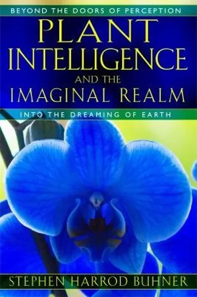 Plant Intelligence and the Imaginal Realm: Beyond the Doors of Perception Into the Dreaming of Earth — dewey-131