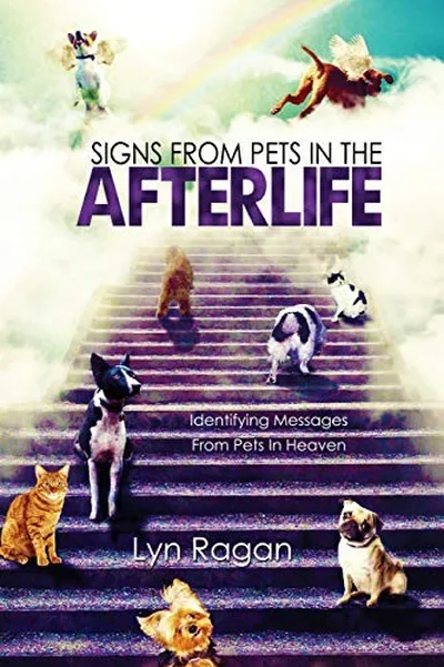 Signs From Pets In The Afterlife: Identifying Messages From Pets In Heaven — dewey-133