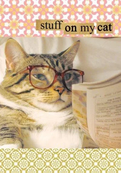 Stuff on My Cat Journal [With Stickers] — dewey-pub:Chronicle Books