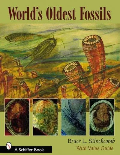 World's Oldest Fossils — dewey-pub:Schiffer