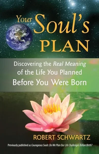 Your Soul's Plan: Discovering the Real Meaning of the Life You Planned Before You Were Born — dewey-133